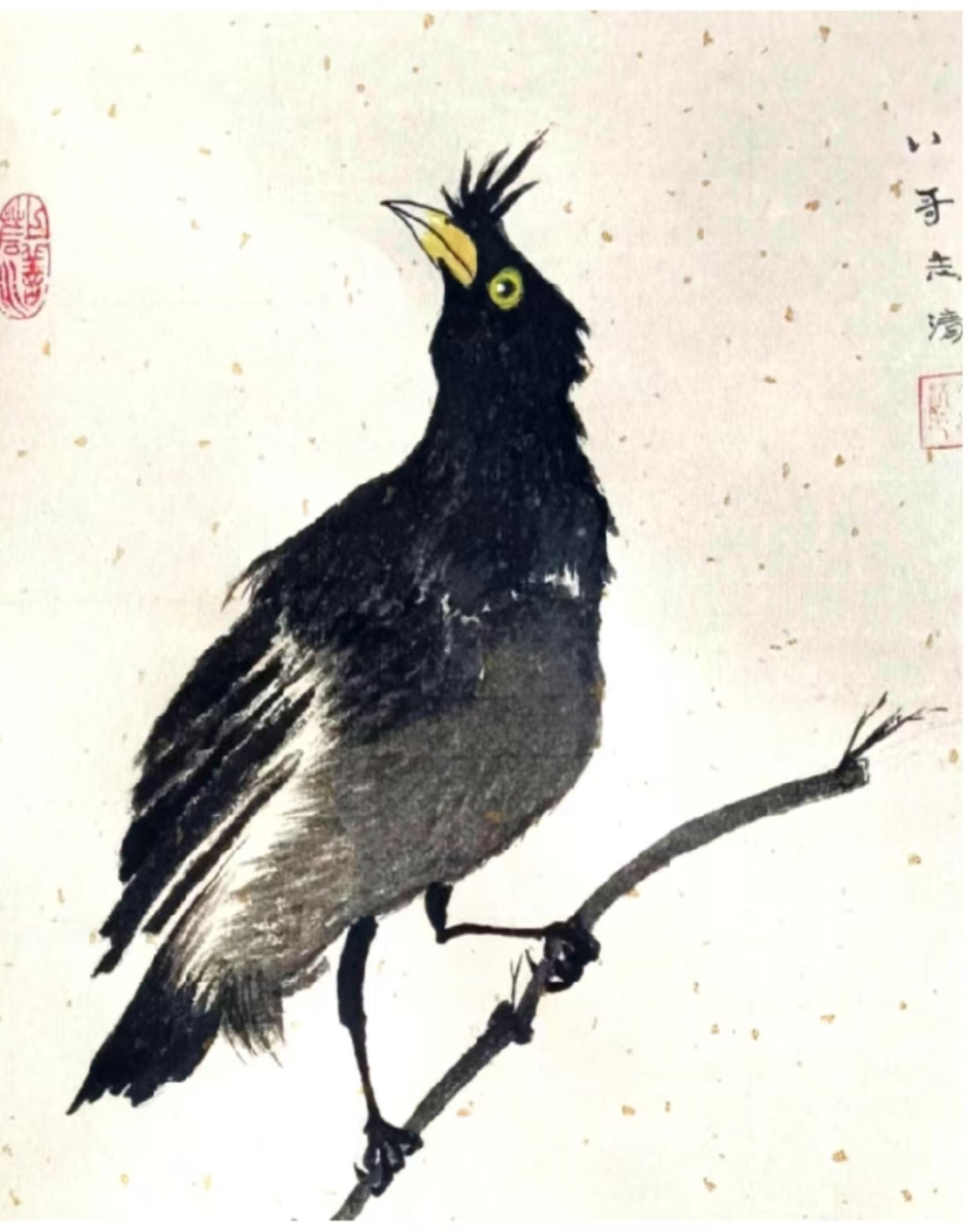 16475fe80e5393129e58aeb8132c8519_